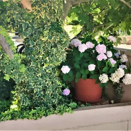 Dea & Paula Apartment Vodice