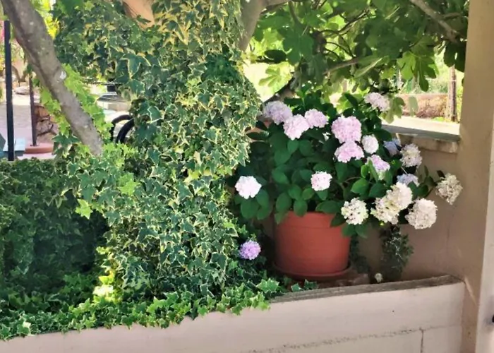 Dea & Paula Apartment Vodice